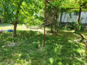 bezirgan köy evleri 2